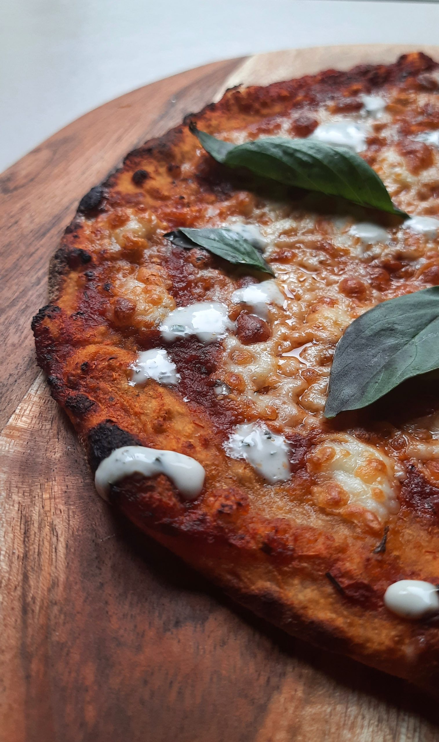 Whole Wheat Sourdough Pizza